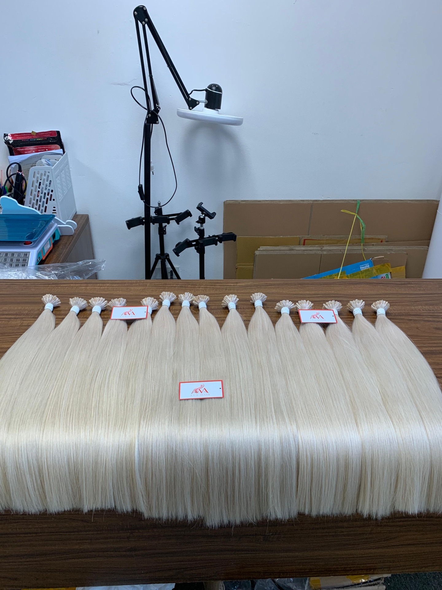 AVA HAIR - COLOR #12.0 - VIETNAMESE LUXURY BULK HAIR EXTENSION