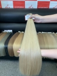 AVAHAIR - BULK HAIR EXTENSIONS- COLOR: 10 ASH - VIETNAMESE LUXURY HAIR