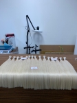 AVA HAIR - COLOR #12.0 - VIETNAMESE LUXURY BULK HAIR EXTENSION