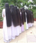 Discover the Timeless Beauty of Vietnamese Long Hair – 100% Natural Luxury from Avahair Viet Nam