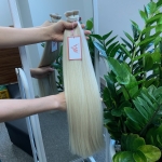 Bulk Hair - Color #12.0 - 60CM